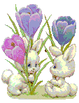 Graph32.gif (6167 bytes)